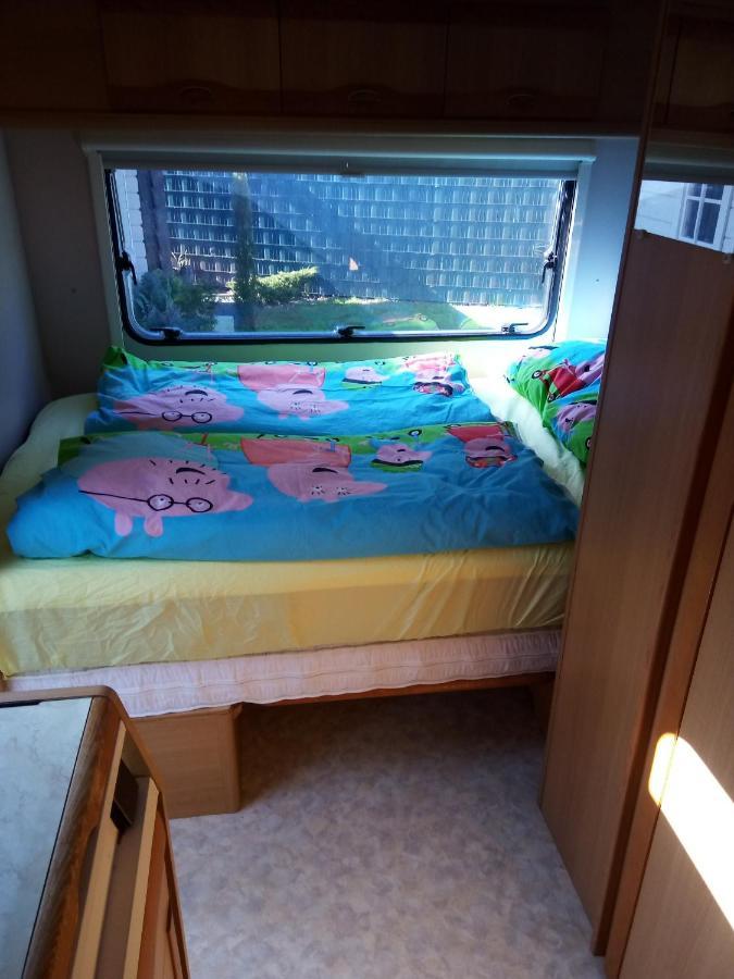 Urlaub machen im großen Garten direkt am Kinderparadis Irrland Kevelaer Exterior foto